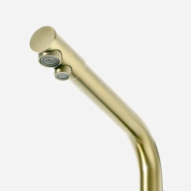 Produto Torneira Monocomando Giratória de Filtro (Ubatuba Ouro Fosca) - Outlet
