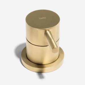 Torneira Monocomando com Ducha de Cozinha Inox (Fiji Dourada Fosca)