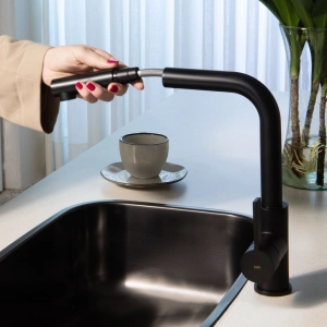 Torneira Monocomando Gourmet de Cozinha (Chipre Preta Fosca)