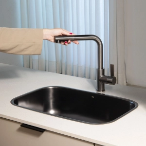 Torneira Monocomando Gourmet de Cozinha (Chipre Grafite Fosca)