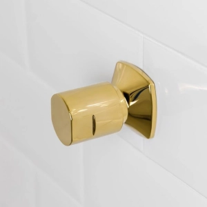 Acabamento para Registro Padr&atilde;o Deca e Docol (Ducon Dourado)