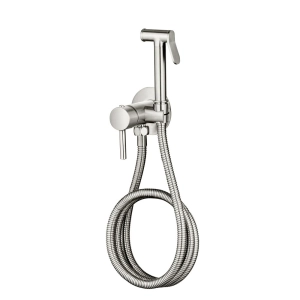 Ducha Higi&Atilde;&ordf;nica com Registro Monocomando (Dore Escovada)