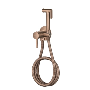 Ducha Higi&Atilde;&ordf;nica com Registro Monocomando (Dore Ros&Atilde;&copy; Gold Fosca)