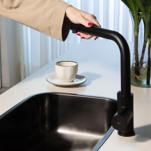 Torneira Monocomando Gourmet de Cozinha (Chipre Preta Fosca)