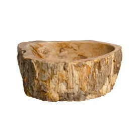 Cuba de Banheiro Madeira Petrificada Natural Apoio até 40 cm (Kayu) Produto Cuba de Banheiro Madeira Petrificada Natural Apoio até 40 cm (Kayu)