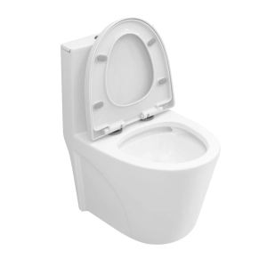 Vaso Sanit&aacute;rio Monobloco Kit Completo (Athens Branco)