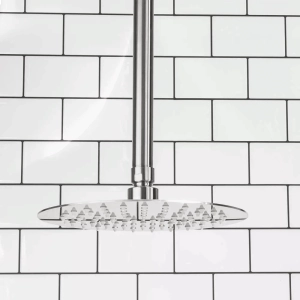 Produto Ducha de Inox Redonda 20 cm de Teto (Escovada)