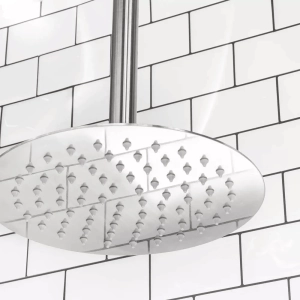 Produto Ducha de Inox Redonda 20 cm de Teto (Escovada)