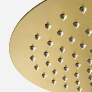 Ducha de Inox Redonda 30 cm de Parede (Dourada Fosca)