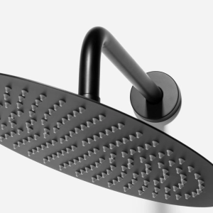 Ducha de Inox Redonda 30 cm de Parede (Preta Fosca)