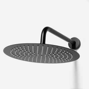 Ducha de Inox Redonda 30 cm de Parede (Preta Fosca)