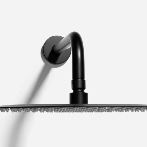 Ducha de Inox Redonda 30 cm de Parede (Preta Fosca)