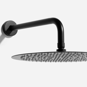 Ducha de Inox Redonda 30 cm de Parede (Preta Fosca)