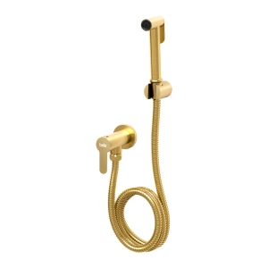 Ducha Higi&Atilde;&ordf;nica Inox (Lima Ouro Fosca)