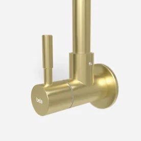Torneira de Parede para Cozinha Inox (Brava Ouro Fosca) Produto Torneira de Parede para Cozinha Inox (Brava Ouro Fosca)