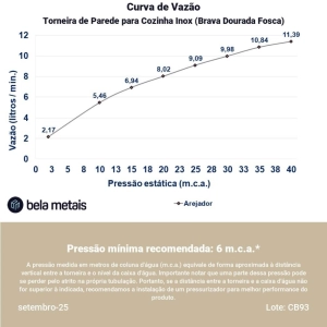 Torneira de Parede para Cozinha Inox (Brava Ouro Fosca)