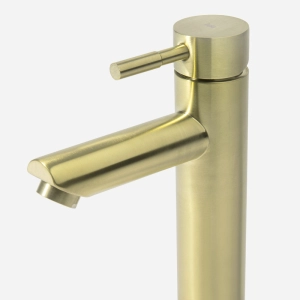 Torneira Monocomando Alta para Banheiro Inox (Lis Ouro Fosca)