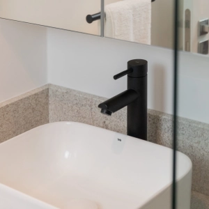 Torneira Monocomando Alta para Banheiro Inox (Lis Preta Fosca)