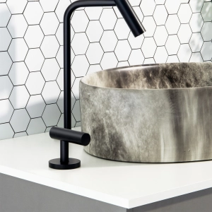 Torneira Monocomando Alta para Banheiro (Lay Preta Fosca)