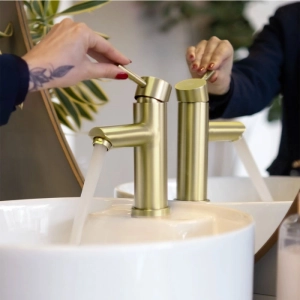 Torneira Monocomando Baixa para Banheiro Inox (Lis Ouro Fosca)