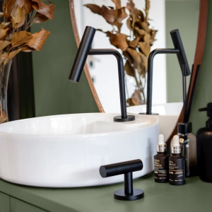 Torneira Monocomando Baixa para Banheiro (Lay Preta Fosca)