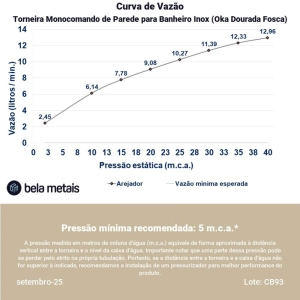 Torneira Monocomando de Parede para Banheiro Inox (Oka Ouro Fosca)