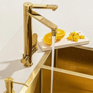 Torneira Monocomando Giratória de Filtro (Ibiza Dourada)