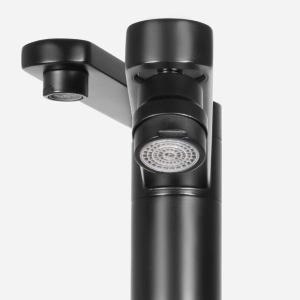 Torneira Monocomando Giratória de Filtro (Ibiza Preta Fosca)