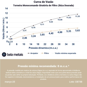 Torneira Monocomando Giratória de Filtro (Ibiza Dourada)