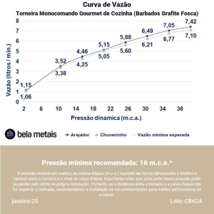 Torneira Monocomando Gourmet de Cozinha (Barbados Grafite Fosca)