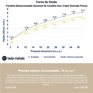 Torneira Monocomando Gourmet de Cozinha Inox (Capri Dourada Fosca)